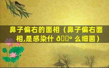 鼻子偏右的面相（鼻子偏右面相,是感染什 🐺 么细菌）